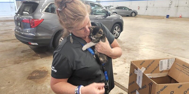 Guest Loyalty Specialist Lisa Bassett bathed Audi the kitten and made sure he was fed.
