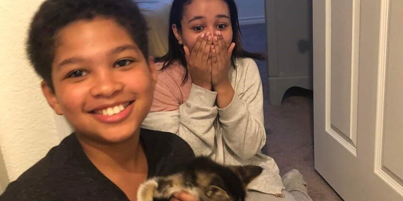 Adrian Lopez, 10, holds Audi as his sister, Isabella, 14, looks on in shock after her dad came home with the kitten.