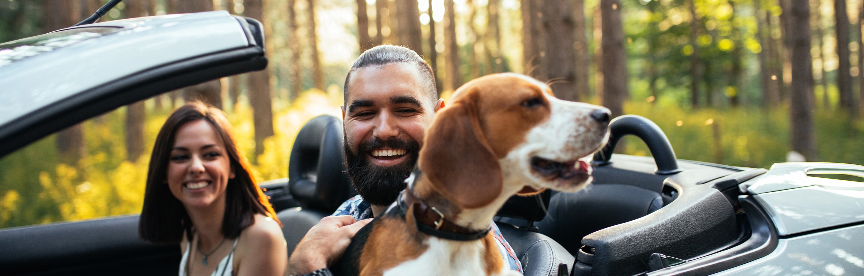A bearded man and a woman with shoulder-length brown hair sit smiling in the front seat of a convertible. A beagle is sitting on the man's lap.