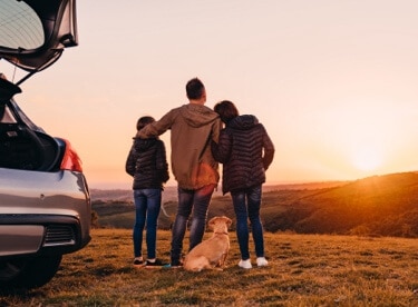 Sonic Cash offer Cash offer