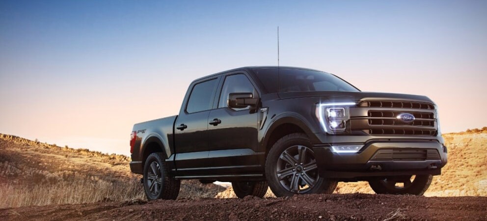 Image shows a black Ford F-150 parked in a desert area.